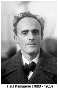 Paul Kammerer